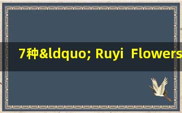 7种“ Ruyi  Flowers”，当客厅盛开时，它将迅速爆发，吸引金钱并使您的房屋繁荣